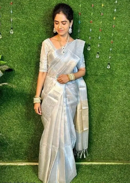 Pre-stitched Silver Tissue Saree